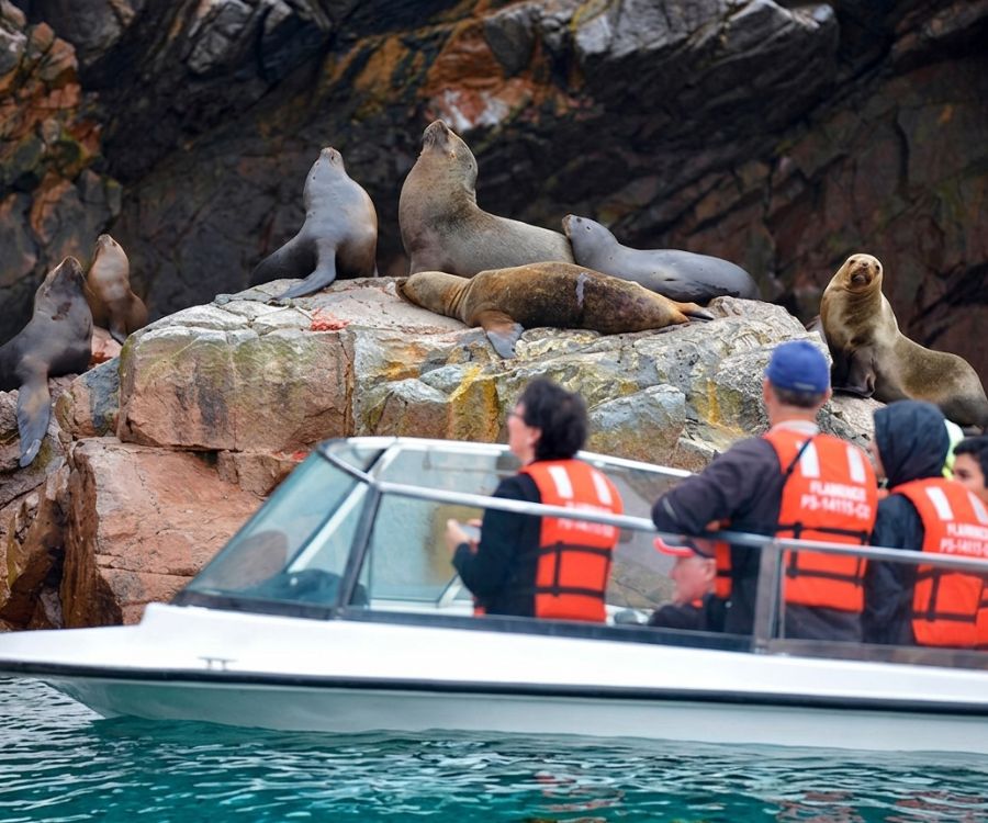 Full Day Paracas Ica - Salidas Diarias